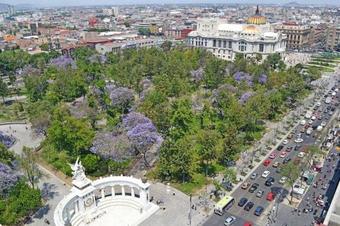 Mexico City Apartments (apt 2)