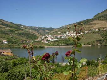 Quinta Da Azenha Hostel