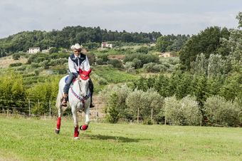 Relais Corte Benedetto Rural Tourism