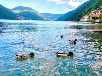 UNA Finestra Sul Lago Apartment