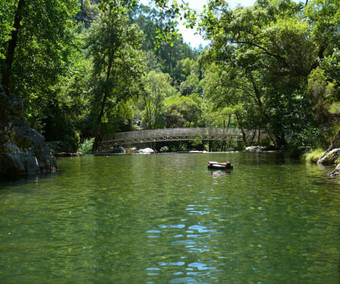 Quinta Do Sobral Rural Tourism