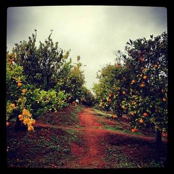 Quinta Maria En La Ruta Del Vino Bed & Breakfast